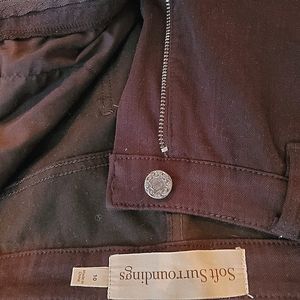 Soft Surroundings Pant